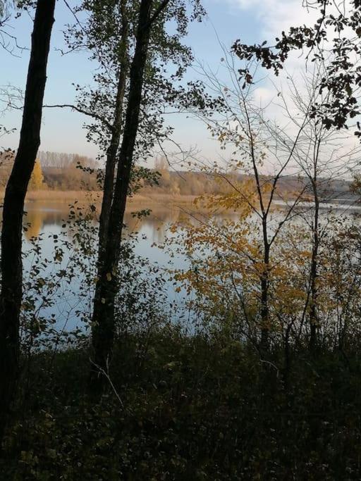 Swietna Chatka Swietne Zewnętrze zdjęcie