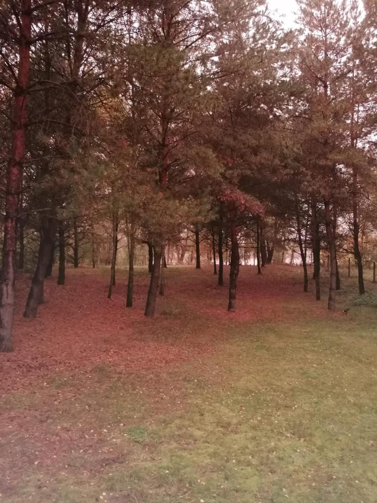 Swietna Chatka Swietne Zewnętrze zdjęcie