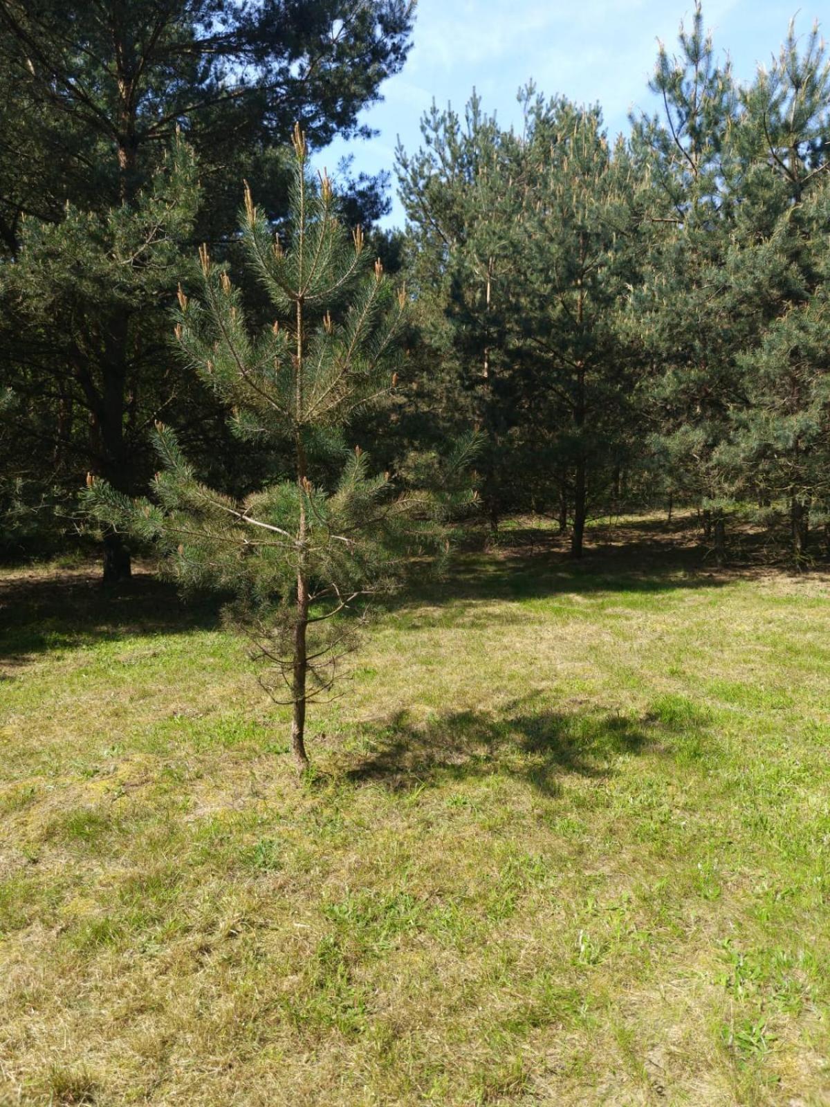 Swietna Chatka Swietne Zewnętrze zdjęcie