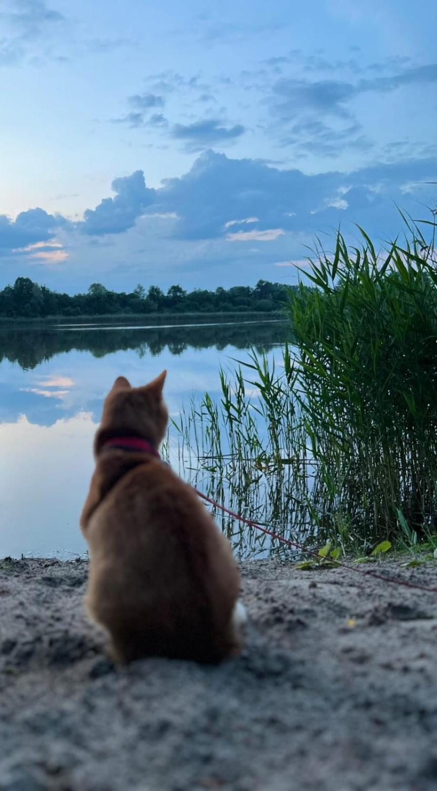Swietna Chatka Swietne Zewnętrze zdjęcie